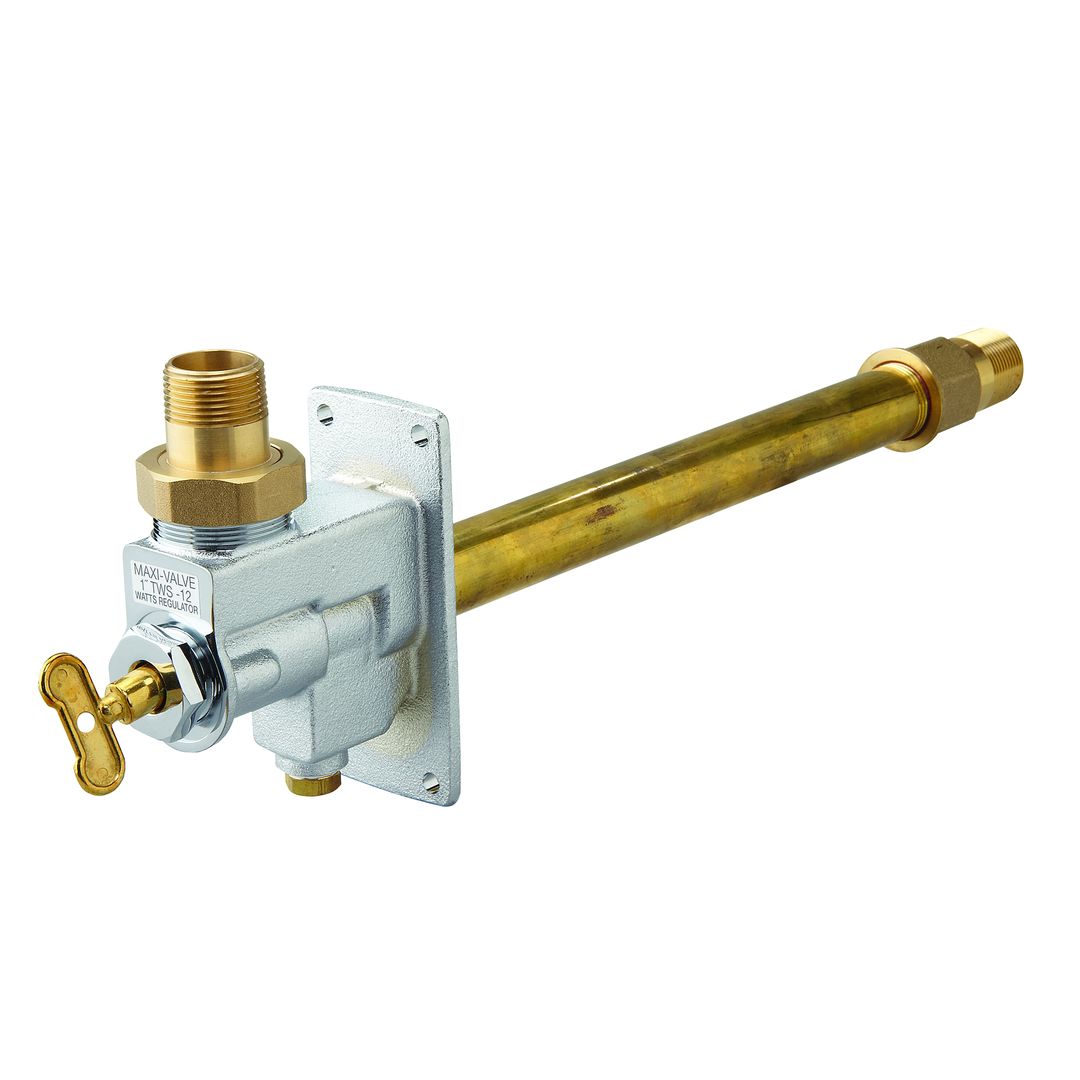 TWS Product Image