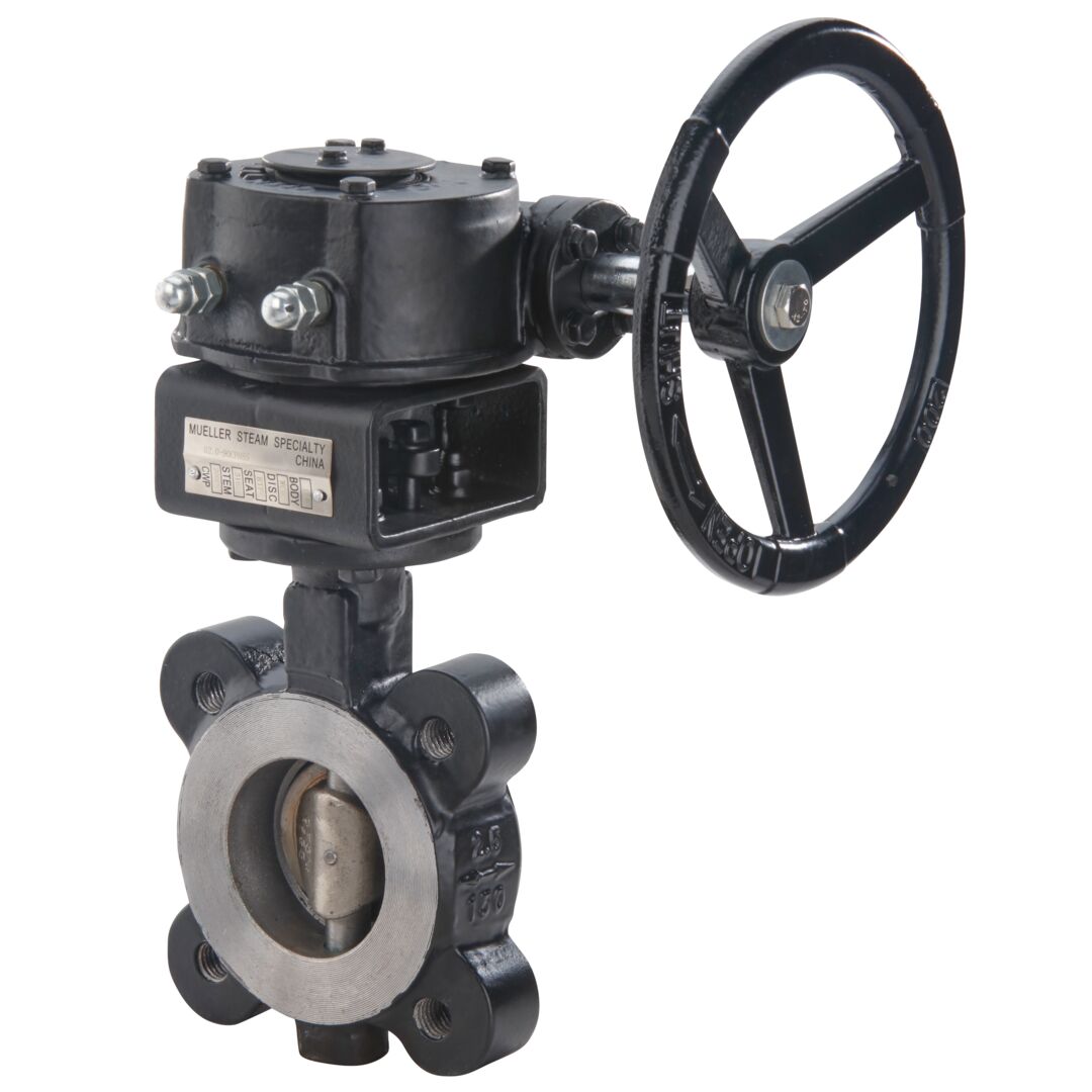 Series 90 Front View High Performance Lug Double Eccentric Butterfly Valves 
