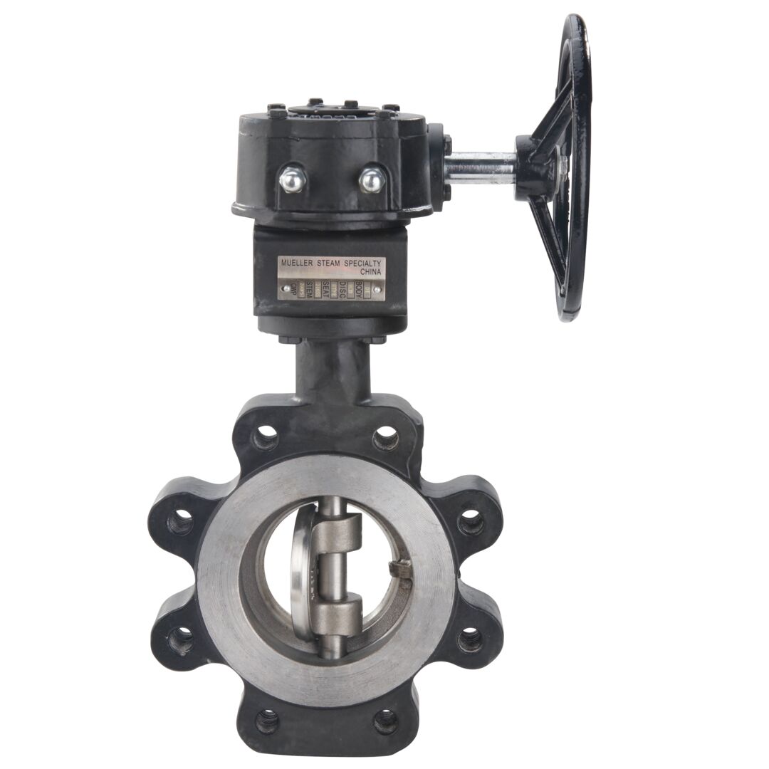 Series 90 Front View High Performance Lug Double Eccentric Butterfly Valves 