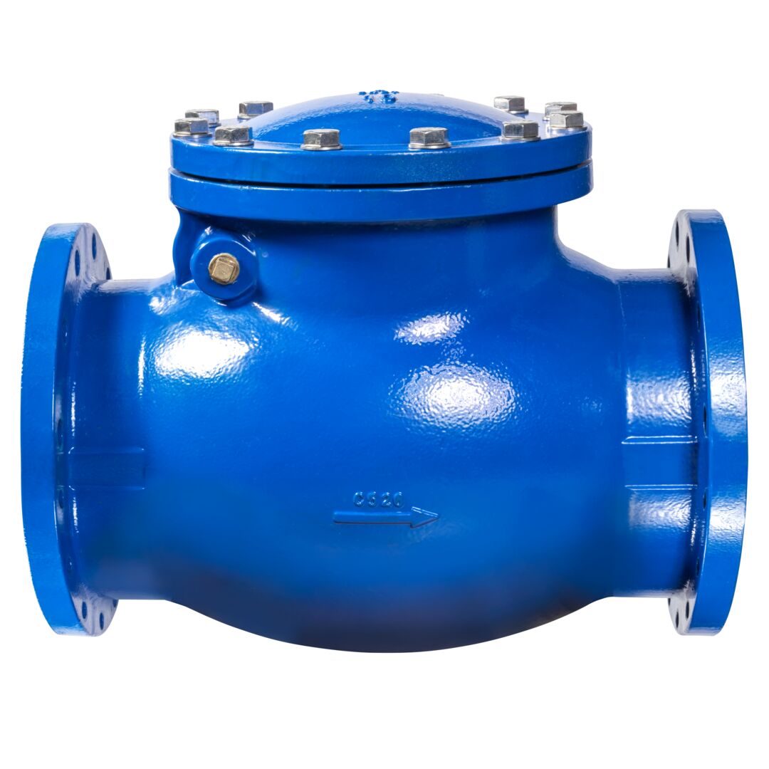 Swing_check_valve-10_0390040